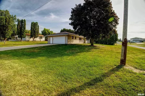 603 2nd Ave, Fulton, IL 61252 photo 29