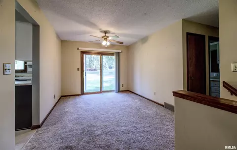 603 2nd Ave, Fulton, IL 61252 photo 8