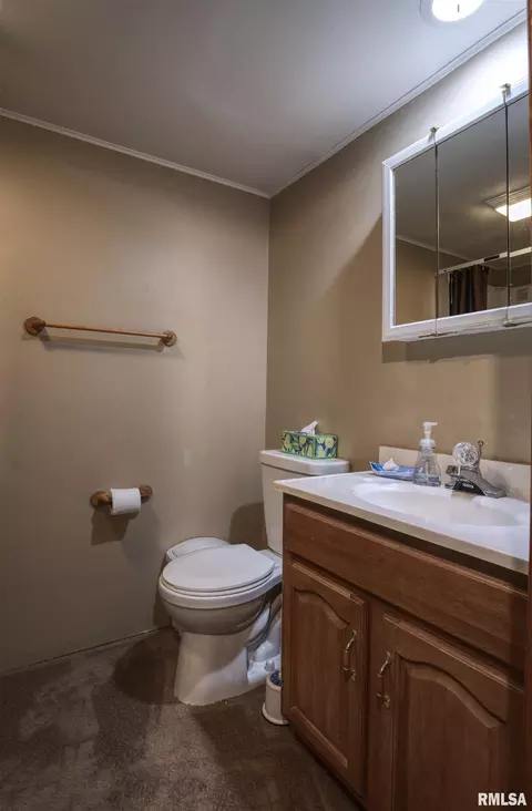 603 2nd Ave, Fulton, IL 61252 photo 25