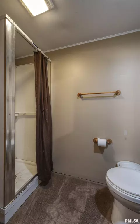 603 2nd Ave, Fulton, IL 61252 photo 24