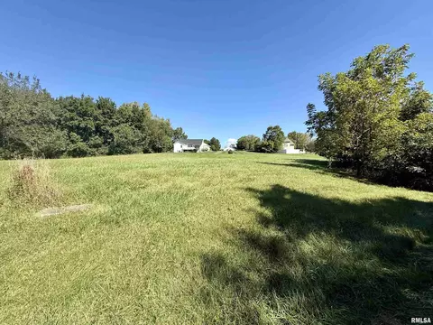 lot4 Lakeside Dr, Port Byron, IL 61275
