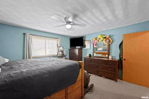 201 E Illinois St, Joy, IL 61260 photo 25