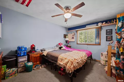 201 E Illinois St, Joy, IL 61260 photo 28