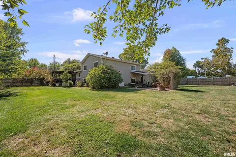 201 E Illinois St, Joy, IL 61260 photo 7