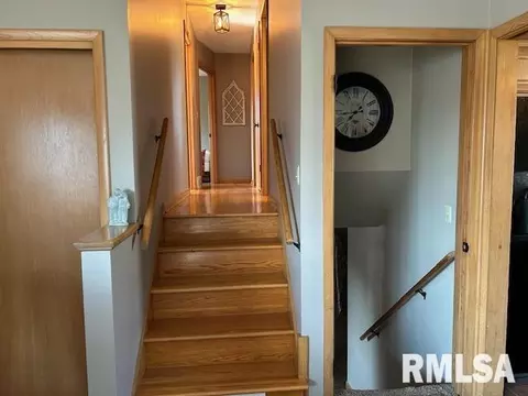 1119 3rd Ave, Fulton, IL 61252 photo 18