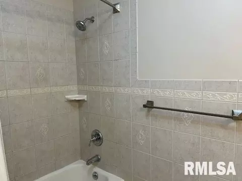 1119 3rd Ave, Fulton, IL 61252 photo 20