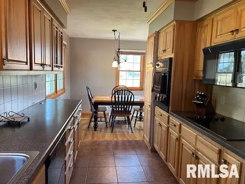 1119 3rd Ave, Fulton, IL 61252 photo 12