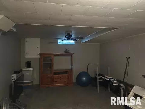 1119 3rd Ave, Fulton, IL 61252 photo 30