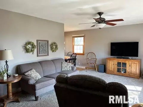1119 3rd Ave, Fulton, IL 61252 photo 15