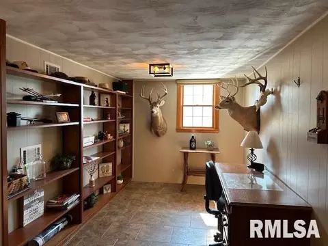 1119 3rd Ave, Fulton, IL 61252 photo 26