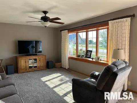 1119 3rd Ave, Fulton, IL 61252 photo 16