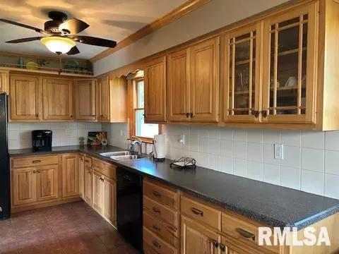1119 3rd Ave, Fulton, IL 61252 photo 14