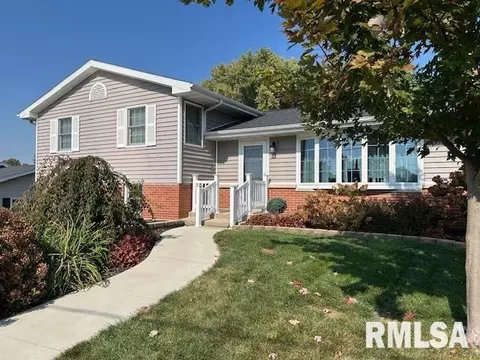 1119 3rd Ave, Fulton, IL 61252 photo 2