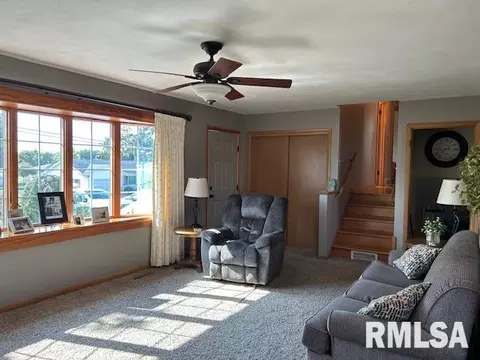 1119 3rd Ave, Fulton, IL 61252 photo 17