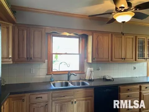 1119 3rd Ave, Fulton, IL 61252 photo 10