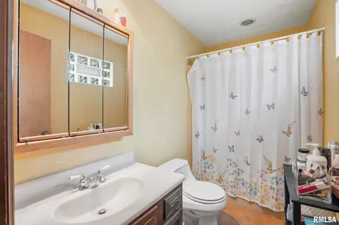 211 Longview Dr, Geneseo, IL 61254 photo 18