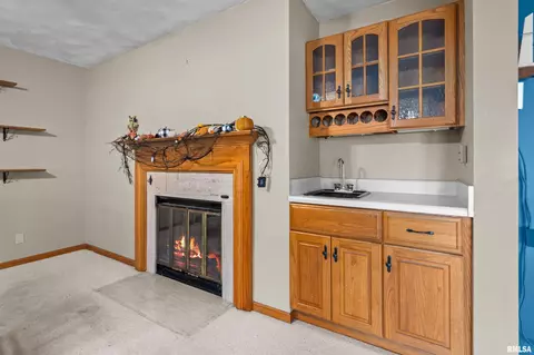 13 Deer Run Rd, Orion, IL 61273 photo 35