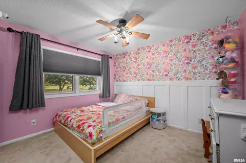 13 Deer Run Rd, Orion, IL 61273 photo 18