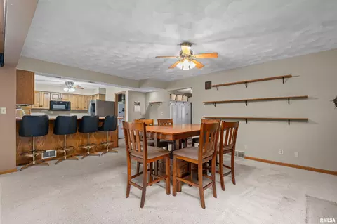 13 Deer Run Rd, Orion, IL 61273 photo 32
