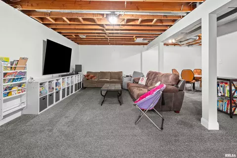 13 Deer Run Rd, Orion, IL 61273 photo 44
