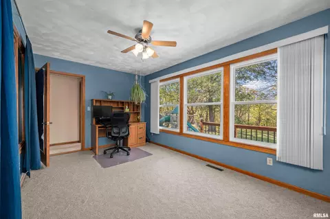13 Deer Run Rd, Orion, IL 61273 photo 28