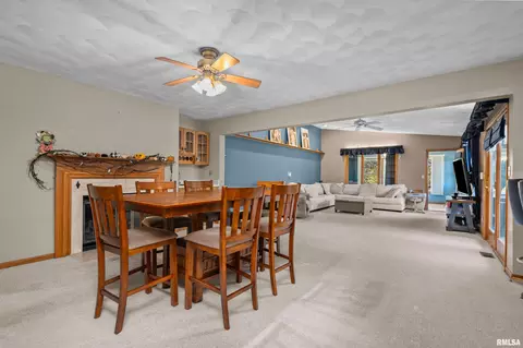 13 Deer Run Rd, Orion, IL 61273 photo 33