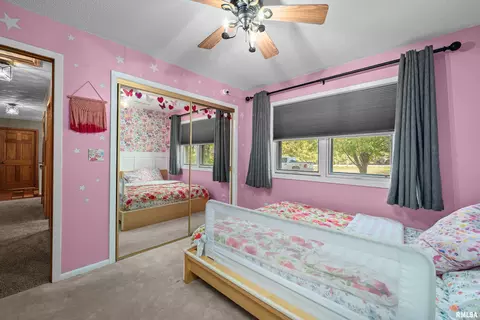 13 Deer Run Rd, Orion, IL 61273 photo 19