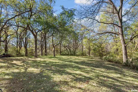 13 Deer Run Rd, Orion, IL 61273 photo 12