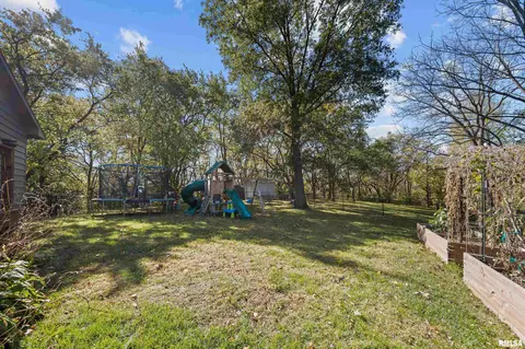 13 Deer Run Rd, Orion, IL 61273 photo 10