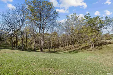 13 Deer Run Rd, Orion, IL 61273 photo 13