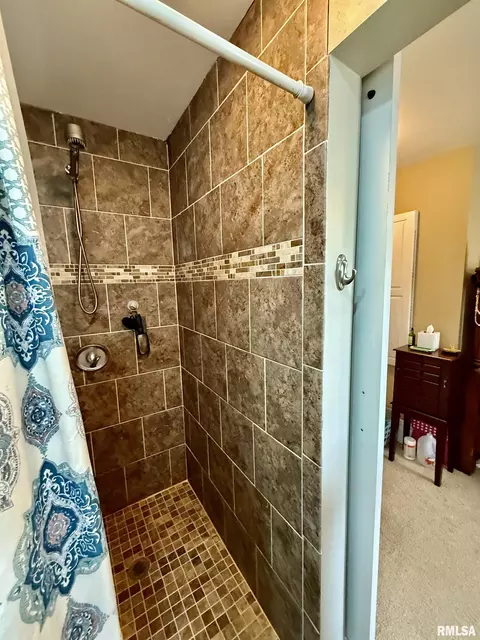 509 E Prospect St, Kewanee, IL 61443 photo 28