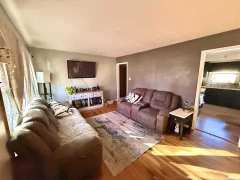 113 E 7th Avenue A, Colona, IL 61241 photo 2