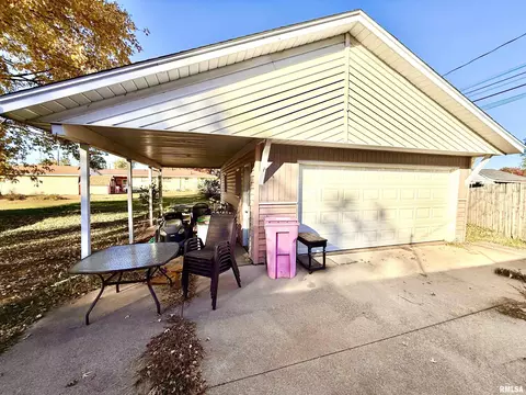 113 E 7th Avenue A, Colona, IL 61241 photo 8