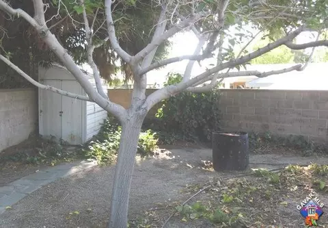 1132 E Avenue J2, Lancaster, CA 93535 photo 33