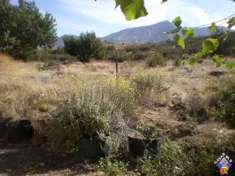 30278 Arrastre Canyon Rd, Acton, CA 93510 photo 14