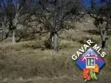 17666 Water Canyon Rd, Tehachapi, CA 93561 photo 2