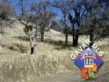 17666 Water Canyon Rd, Tehachapi, CA 93561 photo 3