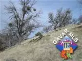 17666 Water Canyon Rd, Tehachapi, CA 93561 photo 10