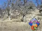 17666 Water Canyon Rd, Tehachapi, CA 93561 photo 1