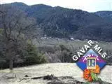17666 Water Canyon Rd, Tehachapi, CA 93561 photo 6