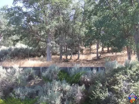 18245 Alps Dr, Tehachapi, CA 93561 photo 16