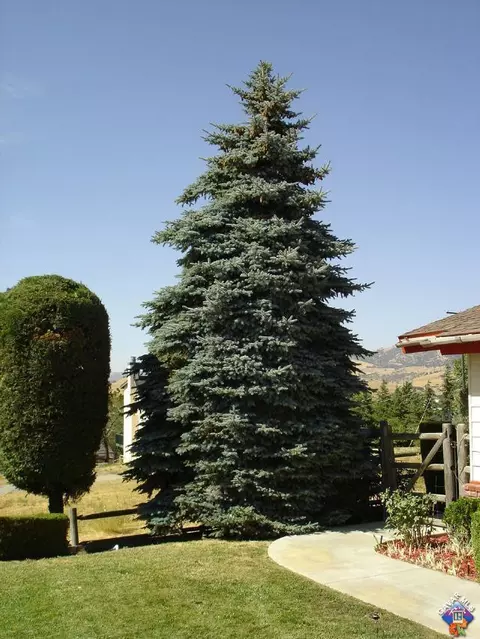 22300 Briarwood St, Tehachapi, CA 93561 photo 23