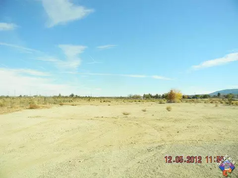33414 165th St, Llano, CA 93544 photo 2