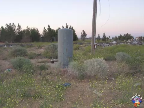 319 Trotter Ave, Mojave, CA 93501 photo 3