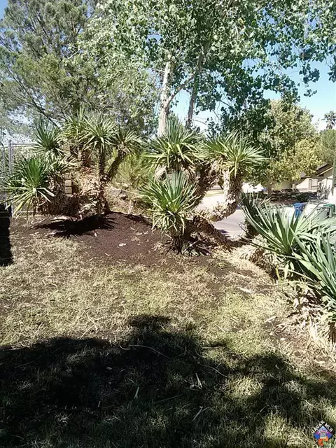 2557 Orchid Tree Dr, Palmdale, CA 93550 photo 38