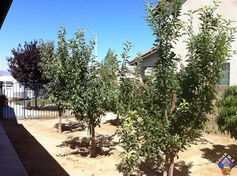 43802 Freer Way, Lancaster, CA 93536 photo 15