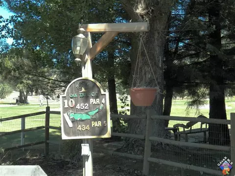 29319 Fawn Way, Tehachapi, CA 93561 photo 27