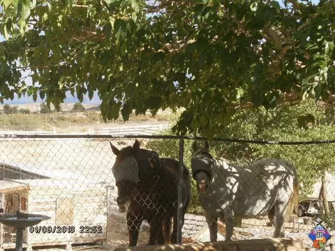 36020 E 43rd St, Palmdale, CA 93552 photo 7