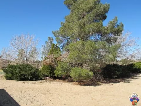 5709 Smoke Tree Rd, Phelan, CA 92371 photo 25