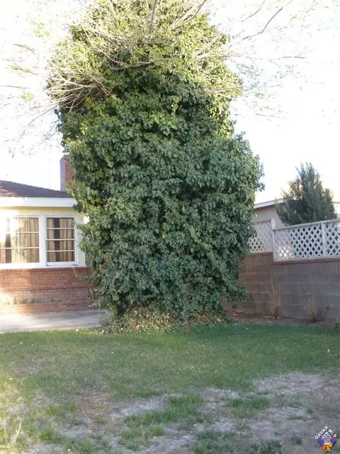 44408 Lowtree Ave W, Lancaster, CA 93534 photo 5